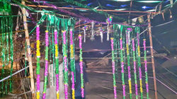 Picasa - IMG_2636.jpg