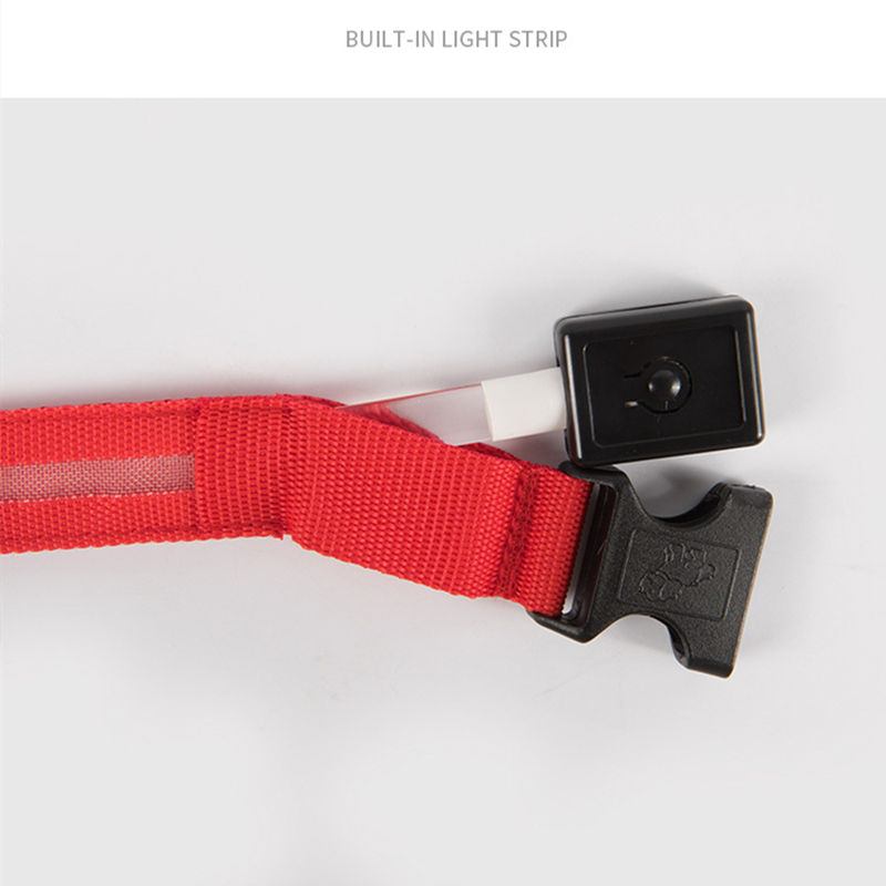 Thumbnail: LED Glowing Dog Collar Adjustable Flashing Rechargea Luminous Collar Night Anti-