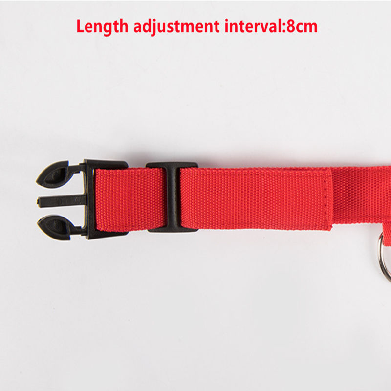 Thumbnail: LED Glowing Dog Collar Adjustable Flashing Rechargea Luminous Collar Night Anti-