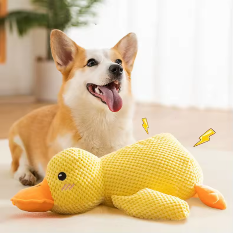 Thumbnail: Dog sleeping with a dog hug duck toys to relieve boredom of little yellow duck p