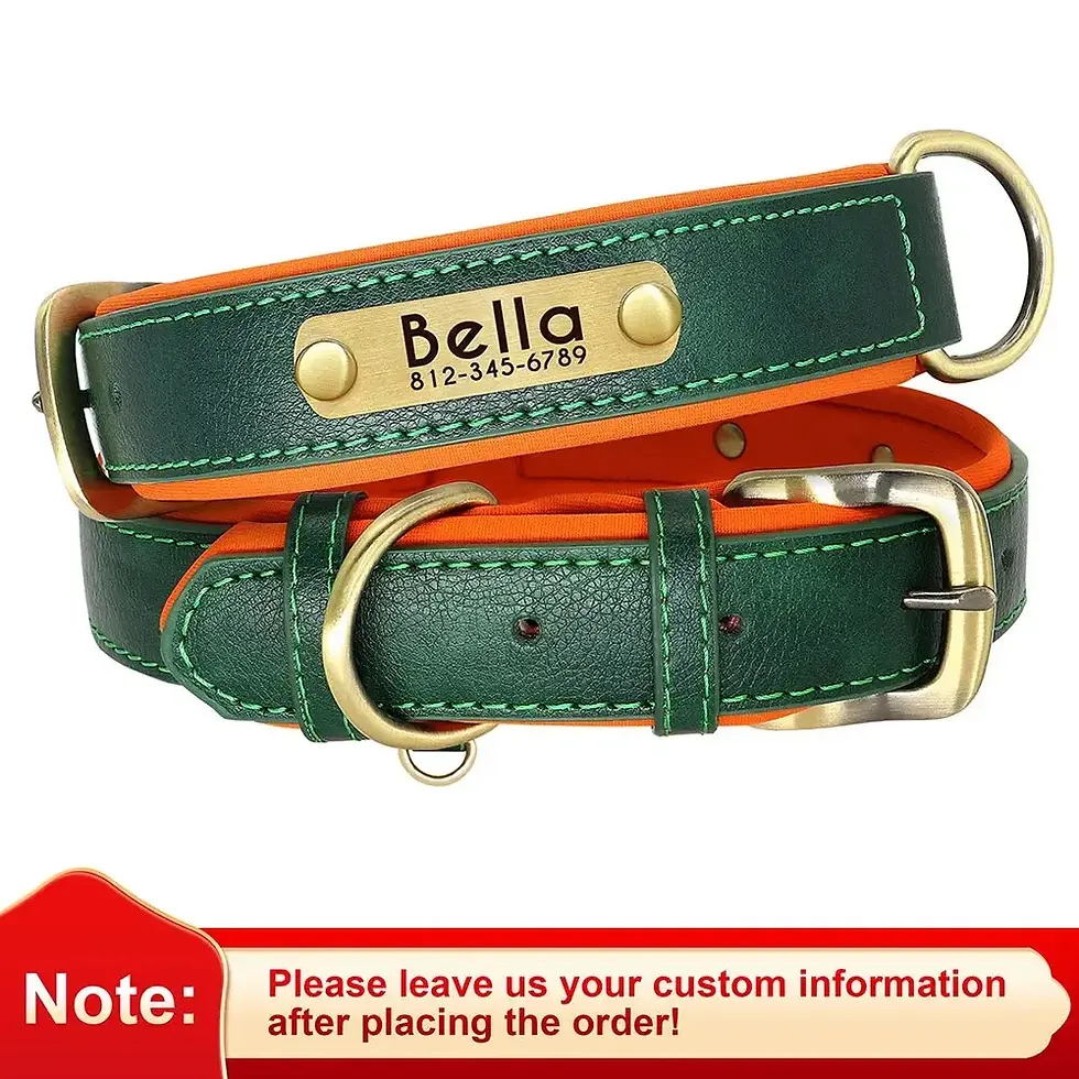 Thumbnail: Personalized Customized Leather ID Nameplate Dog Collar Soft Padded Dogs Collars