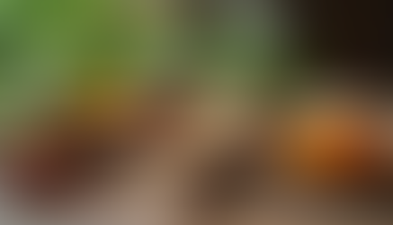 Understanding Ayurveda: A Journey to Holistic Wellness