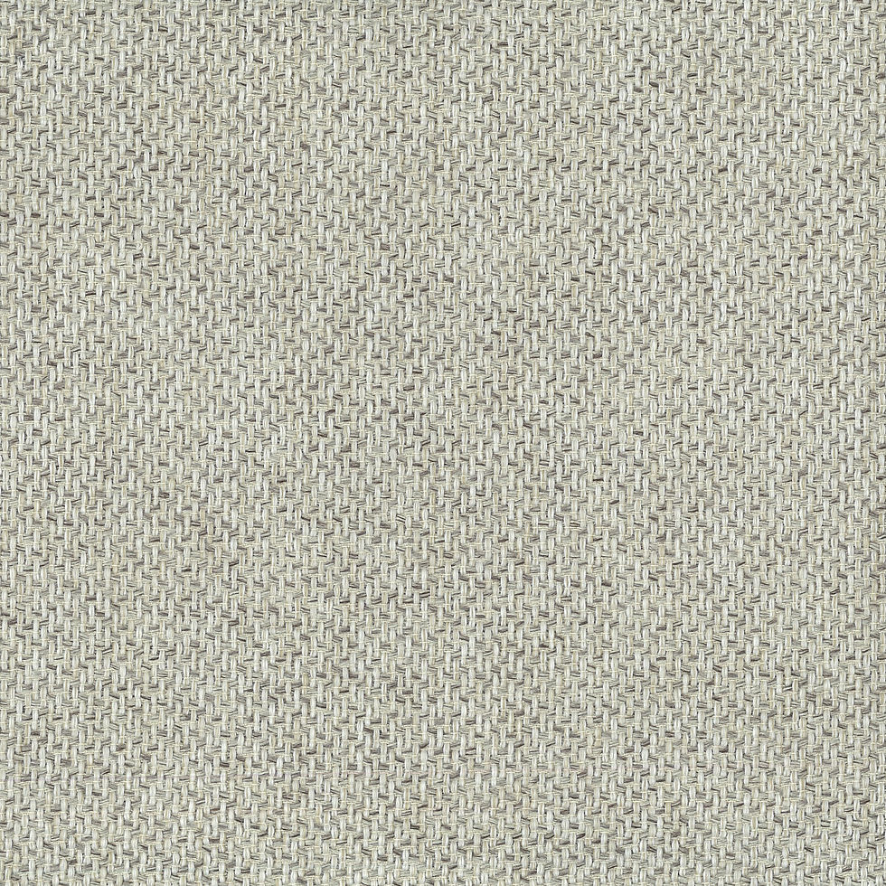Tudor Birch
