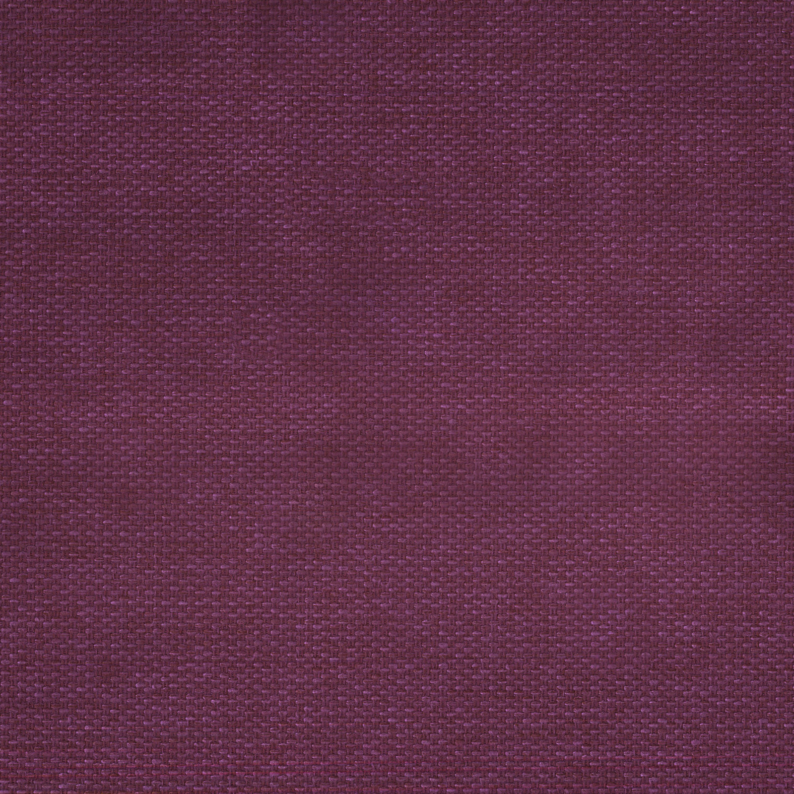 Balmain Aubergine