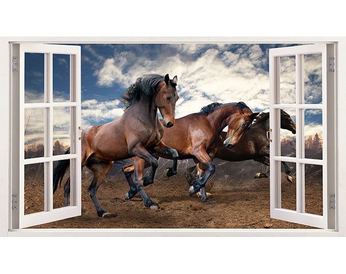 IMPRESSIVE 3D WINDOW WALL DECALS, REMOVABLE WALL STICKERS, WALL DECOR