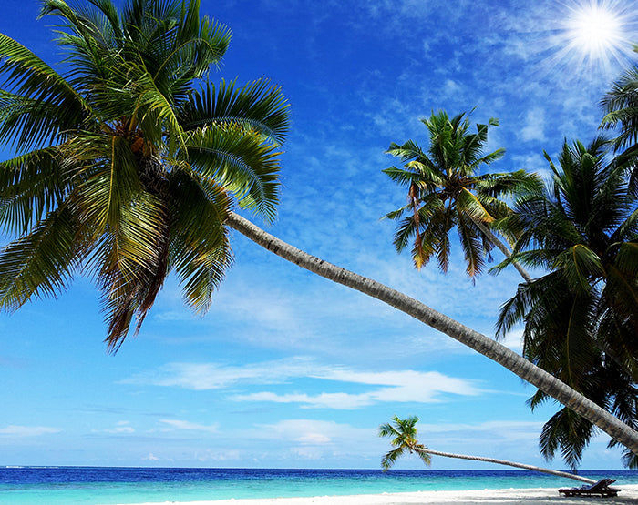 IMPRESSIVE WALL DECALS, REMOVABLE WALL STICKERS, WALL DECOR