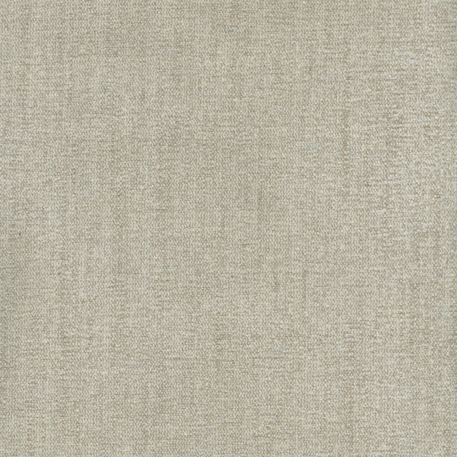 Parissi Bone
