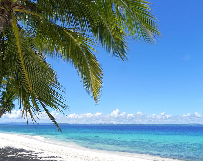 IMPRESSIVE WALL DECALS, REMOVABLE WALL STICKERS, WALL DECOR