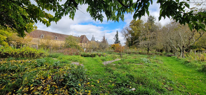 Jardin.jpg