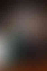 Three people in gala attire