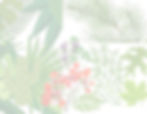 plants light jpg.jpg