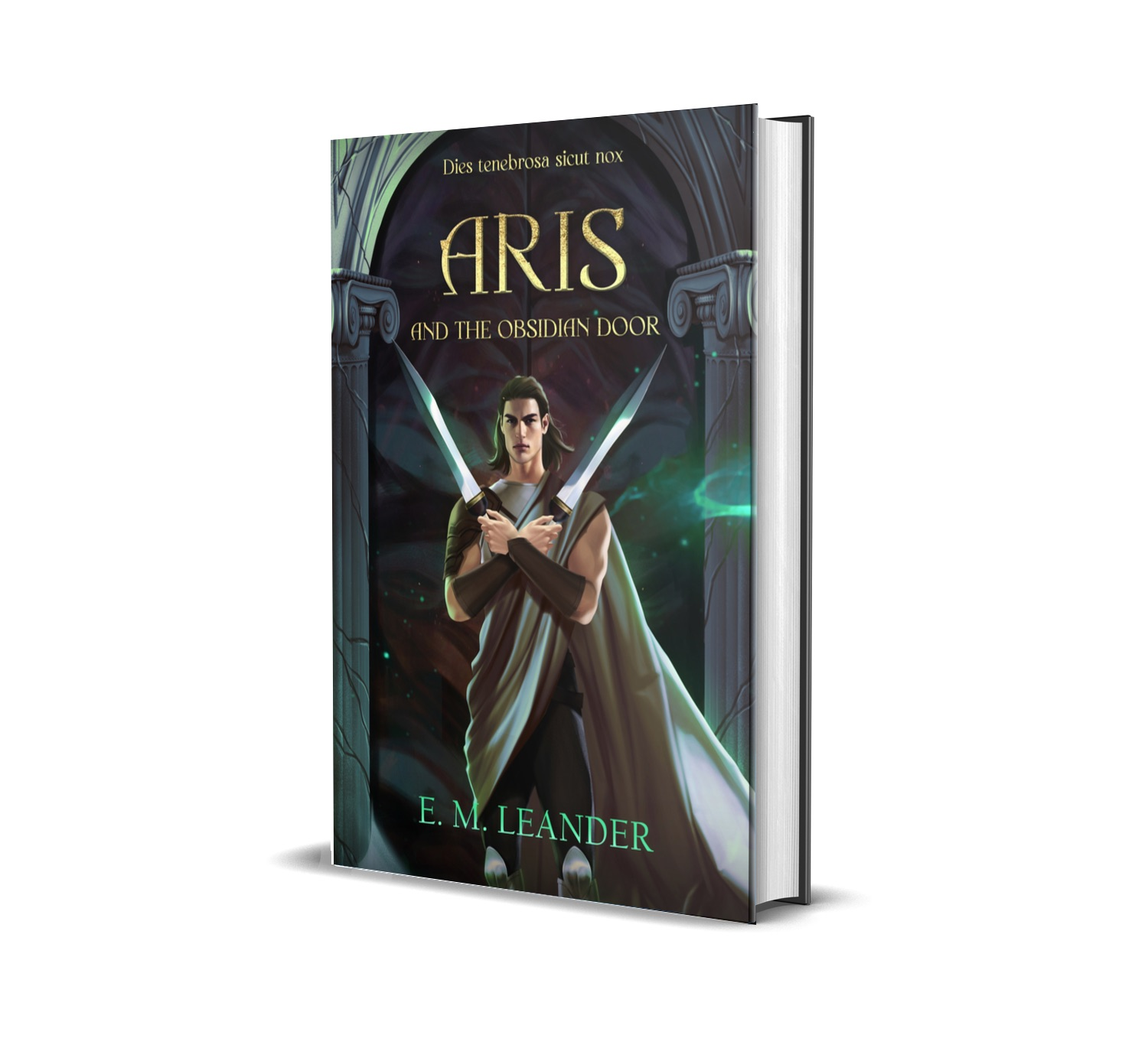 NO JACKET - “Aris and the Obsidian Door” SALE