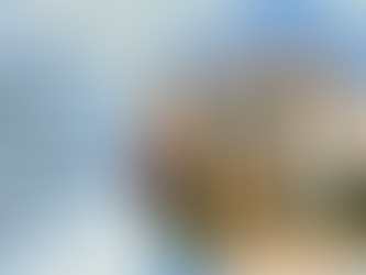 How Do Real Estate Consultants Assist with Purchasing Villas in Greater Noida?