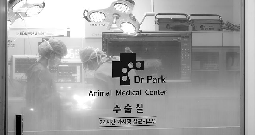 DSCN2387-향상됨-NR 복사_edited.jpg