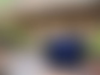 Sitting Between Worlds: My Morning in Ubud