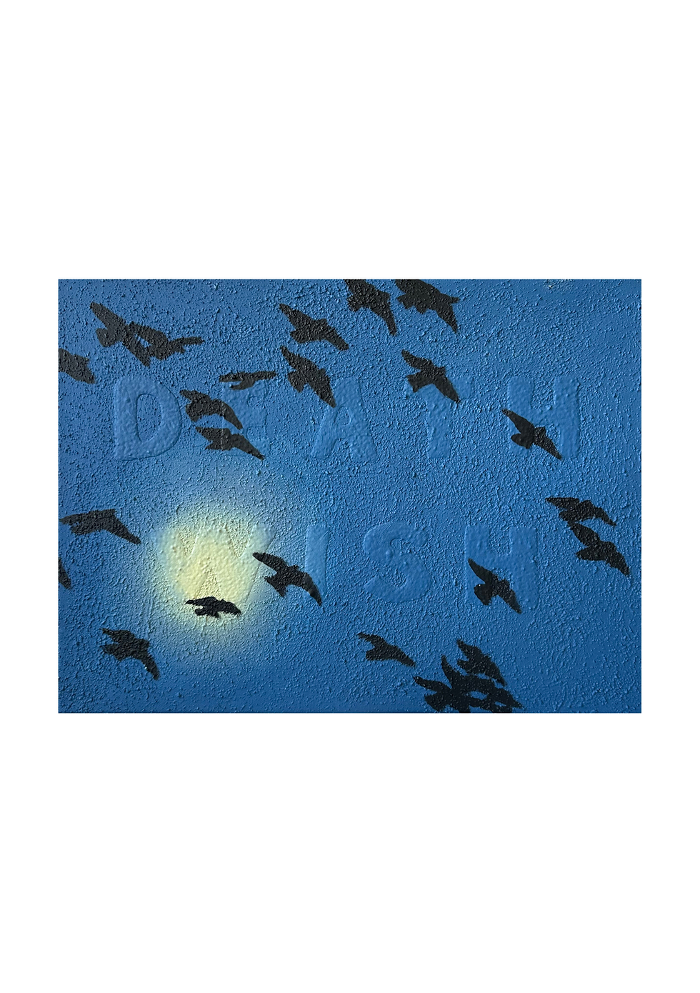 IMG_0335.PNG
