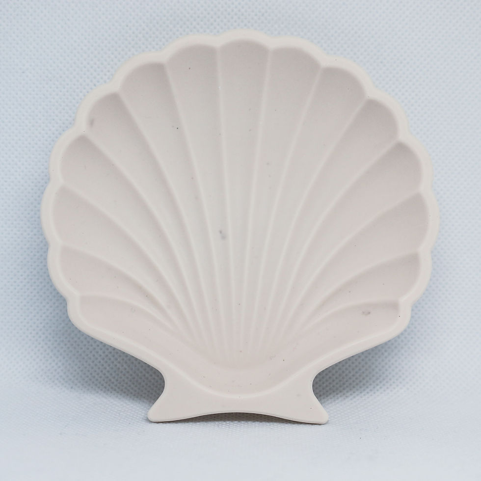 Thumbnail: Shell Trinket Tray