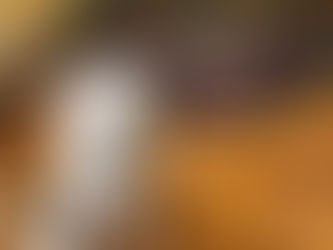 Rafa's Story: Surrogate Healing for a Dog with a Broken Heart