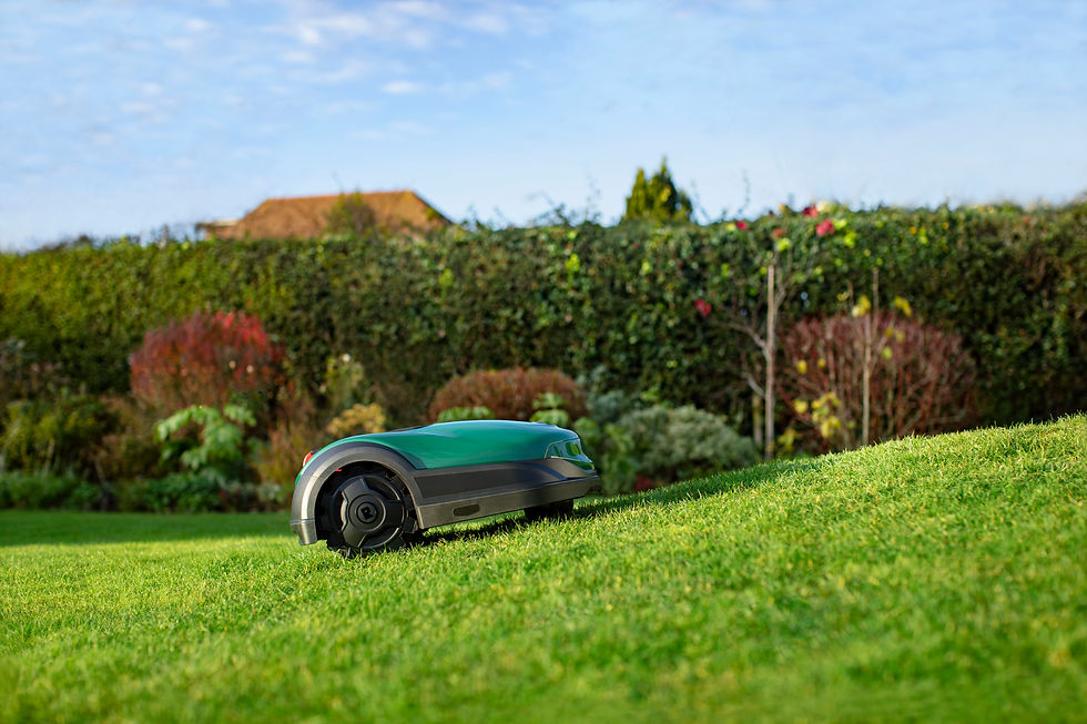 619_22_RK_B10_2021_03 - kopie.jpg