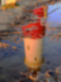 _1010030_edited-1.JPG