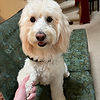 IMG_1466.jpeg