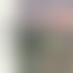 Charlotte Home Buying Guide 2026: Complete Tips for Buyers in Charlotte & Belmont