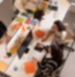 mesh sem trat-152.JPG