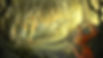 T_RenderedImage_StyleFrame_yungas_CF_v002.jpg