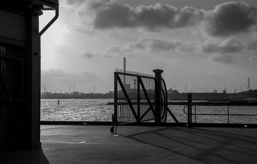 portfolio-36.jpg