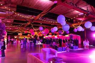 Sophia's Bat Mitzvah