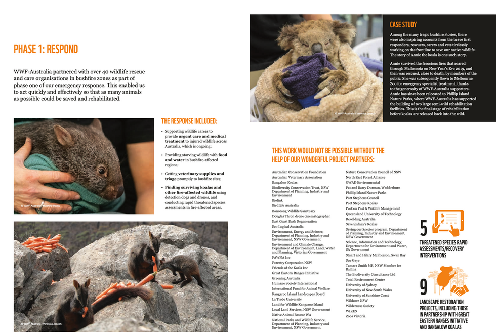 Screen Shot 2022-07-11 at 8.55.25 am.png