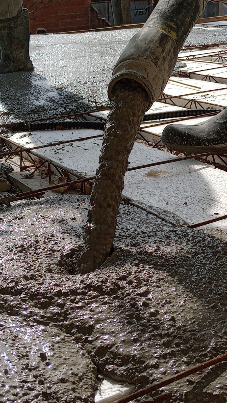 WhatsApp Image 2024-10-15 at 22.33.27