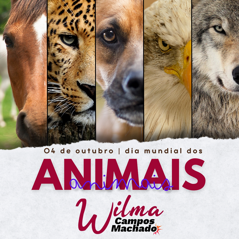 wilma campos machado celebrando o dia mundial dos animais