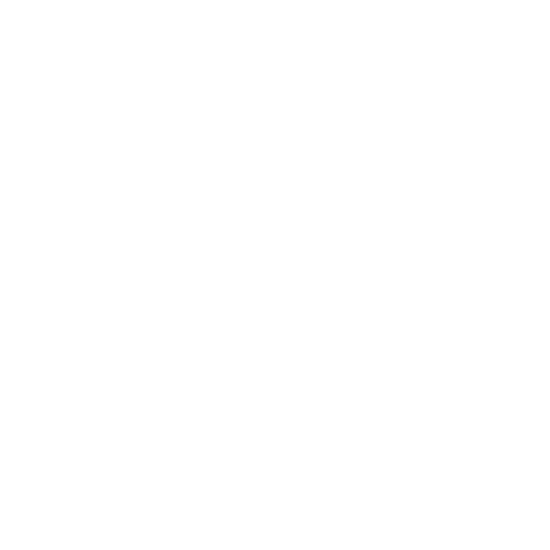 white policy check.png