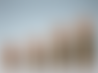 Stacked coins with the word fees 