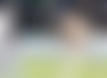 Congratulations Jack Wood and Erin Moran