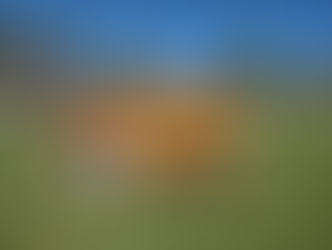 An amazing week of cricket in Lismore