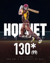 Our first Hornet of the week