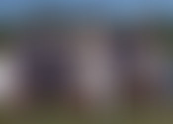  One Day Grand Final Winning Teams.