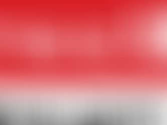 The support of Llewellyn Motors at Booval of Cricket Ipswich