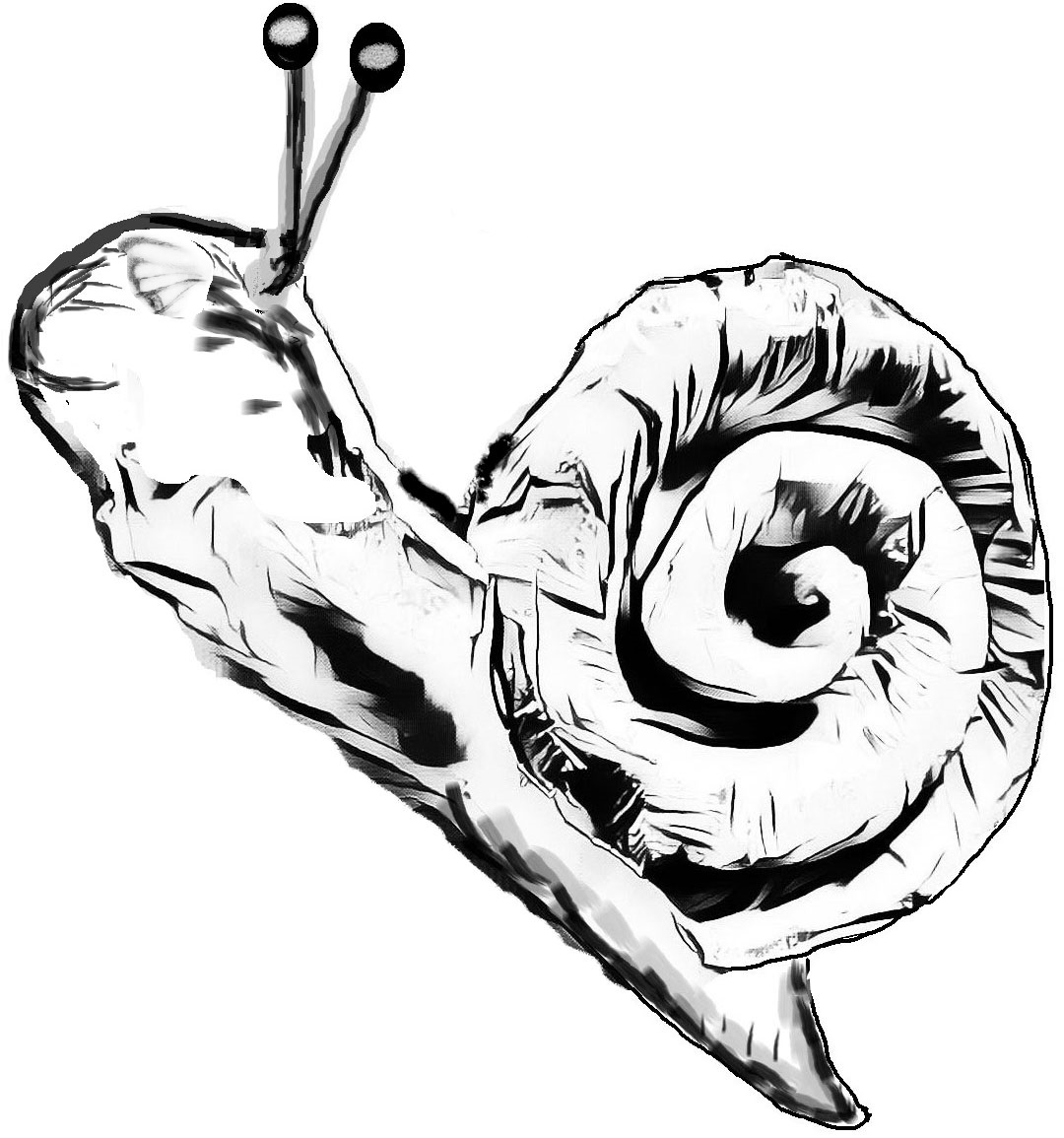Webp.net-gifmaker.gif