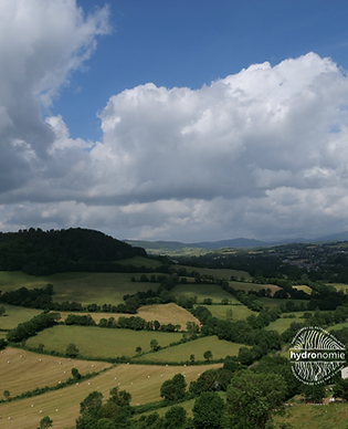 Paysage bocager#2.png