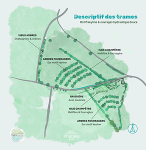 Descriptif agroforesterie.png