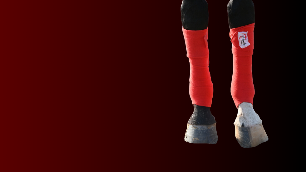 Untitled design(31).png