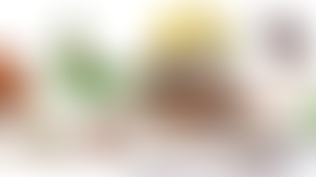 Concentrações em números para a restauração do corpo de animais domésticos e aves (obra de 2005)