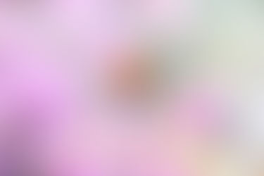 Desenvolvimento Rápido no Controle da Clarividência e Previsão de Controle p/ Garantir a Vida Eterna