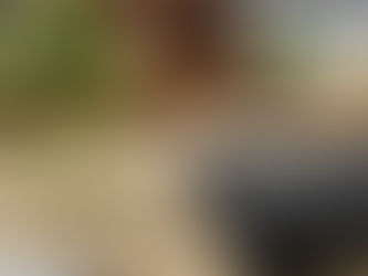 O QUE A ACUPUNTURA PODE TRATAR?