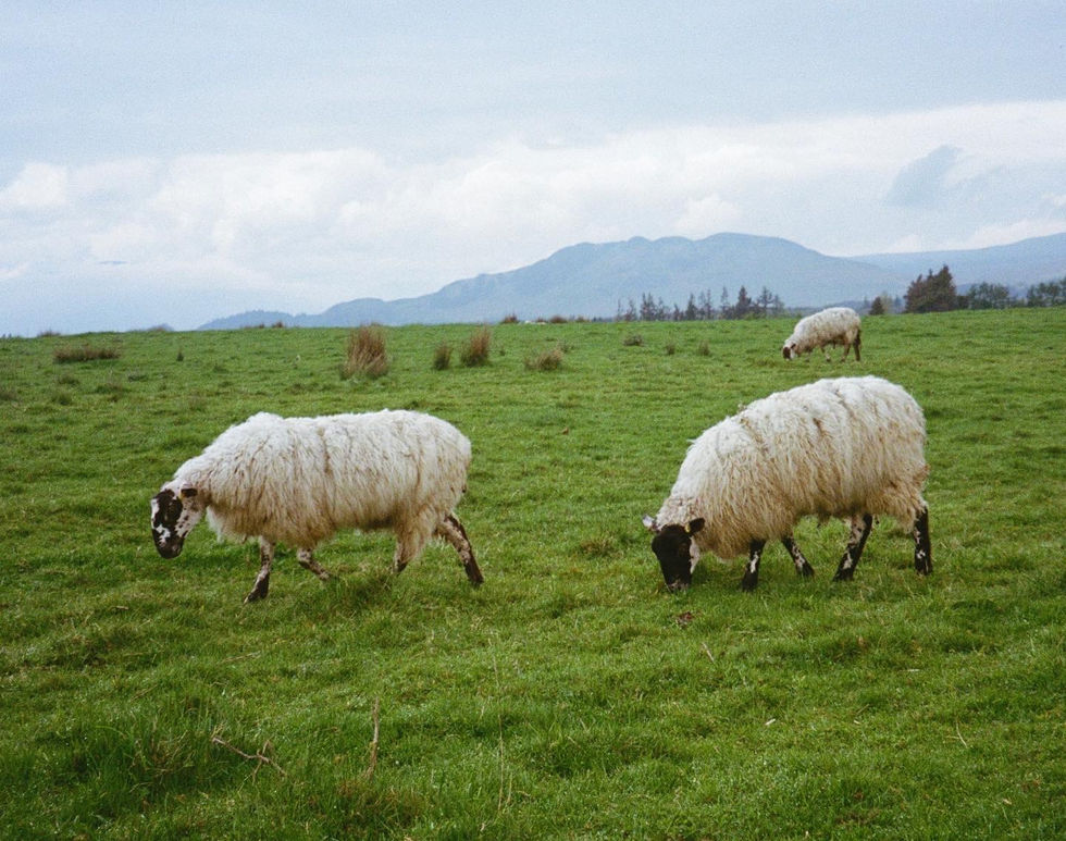 0302B5AE-BA61-4DAB-97E3-DA3658672397