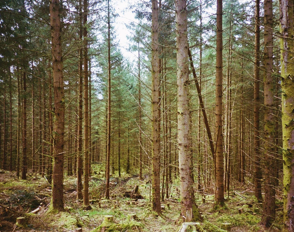 5ACDB207-3F52-407F-AAB1-9424F67AB2E1