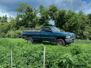 Summer Subscription 2020 Week 7A